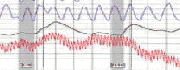 polygraph tests Reno Las Vegas